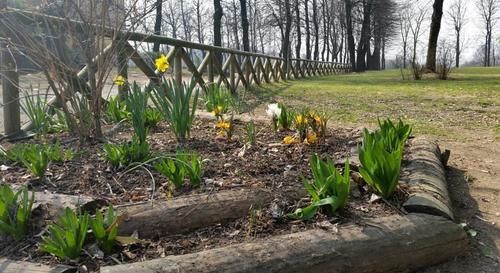 Cascina Govean Alpignano Exteriér fotografie
